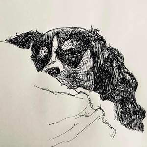 Meet your Posher, Vikki